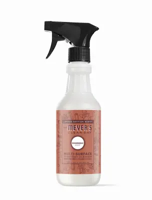 LIFESTYLE BRANDS Holiday Multi Surface Cleaner Gingerbread Scent 16 oz. Spray 12015 LIFESTYLE BRANDS Holiday Multi Surface Cleaner Gingerbread Scent 16 oz. Spray 12015