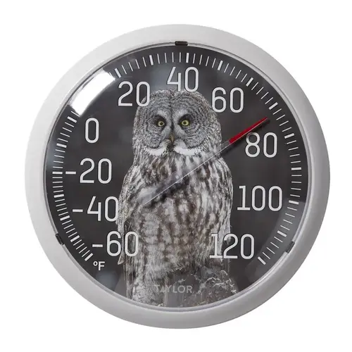 Dial Thermometer Owl Plastic Multicolored 13.25" Multicolored Dial Thermometer Owl Plastic Multicolored 13.25" Multicolored