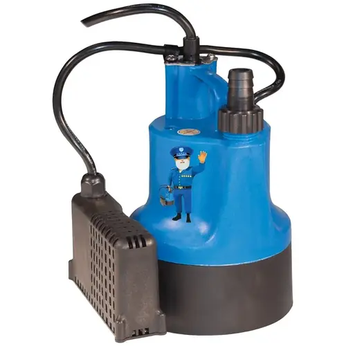 Utility Pump 1/6 HP 740 gph Thermoplastic Electronic Switch Bottom AC Black/Blue