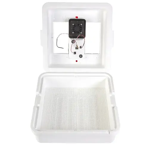 Egg Incubator, 41 Large Chicken Eggs Egg, 99.5 deg F, Styrofoam Egg Incubator, 41 Large Chicken Eggs Egg, 99.5 deg F, Styrofoam