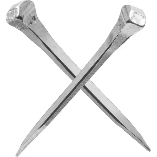 City Head Nail pack of 250