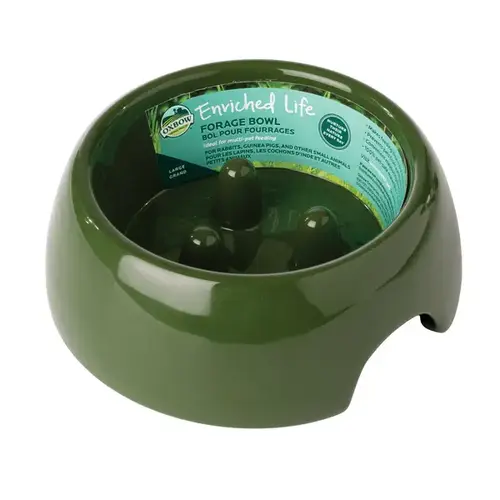 Forage Large Food Bowl for Small Pets Forage Large Food Bowl for Small Pets