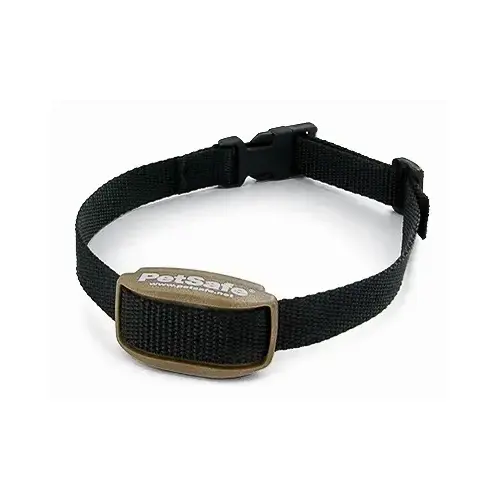 PAWZ AWAY EXTRA RECEIVER