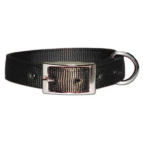 Double (2-Ply) Nylon Hunt Collar 2" x 25"