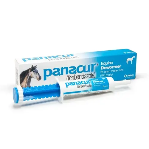 Panacur Dewormer Horse Paste - 10%, 25mg