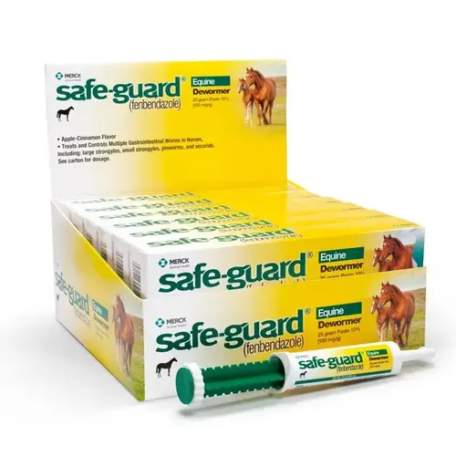 Safe-Guard Equine Paste 25-Gram (12-Count Tubes) - pack of 12