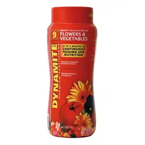 Dynamite 605912 Dynamite Flower & Vegetable Plant Food 13-13-13 1lb