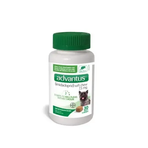 Advantus Flea & Tick Soft Chew Treatment for Small Dogs - 30 Count Advantus Flea & Tick Soft Chew Treatment for Small Dogs - 30 Count