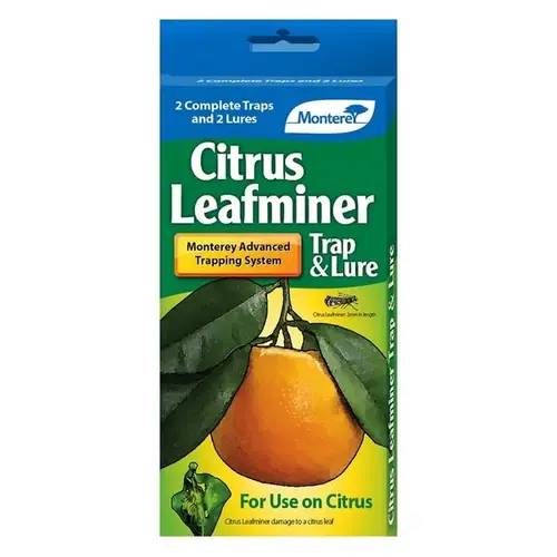 Monterey Citrus LeafMiner Trap & Lure