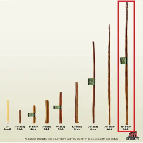 Bully Stick 36" - Case of 25 - pack of 25