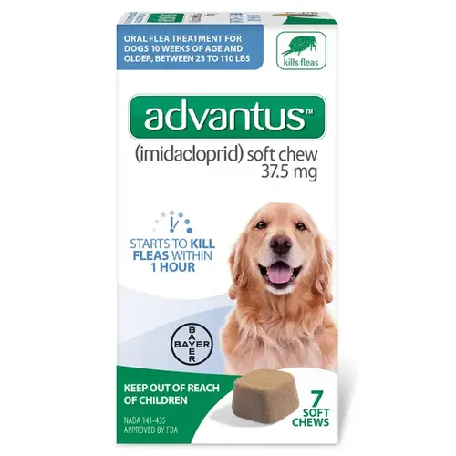 Advantus Soft Chew Flea Treatment for Dogs 23-110-Lbs. 7 Doses Advantus Soft Chew Flea Treatment for Dogs 23-110-Lbs. 7 Doses