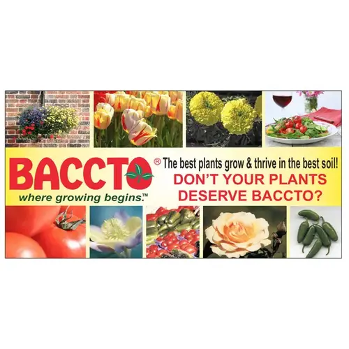 Promotional Baccto Color Banner