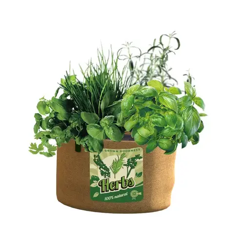 Panacea 5 Gallon Herbs Grow Bag Panacea 5 Gallon Herbs Grow Bag