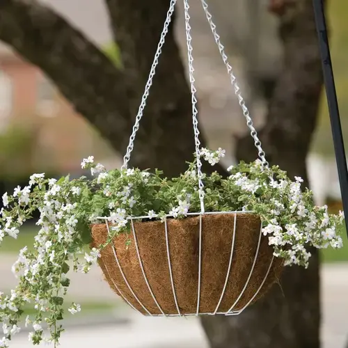 Panacea 12" Growers Series Hanging Basket White Panacea 12" Growers Series Hanging Basket White