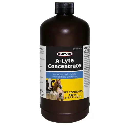 A Lyte Concentrate 500-ml A Lyte Concentrate 500-ml