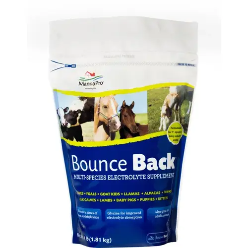 Bounce Back Multi Species Electrolyte Supplement 4LB Bag Bounce Back Multi Species Electrolyte Supplement 4LB Bag