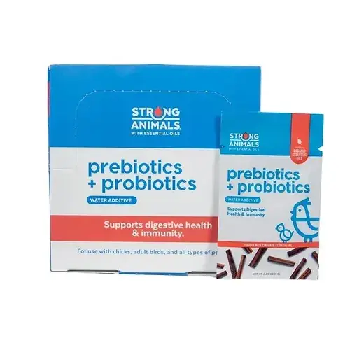 6G Prebiotic/Probiotic - pack of 30