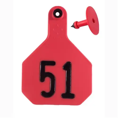 RED ALL AMERICAN 4 * COMBO NUMBERED 51-75 RED ALL AMERICAN 4 * COMBO NUMBERED 51-75