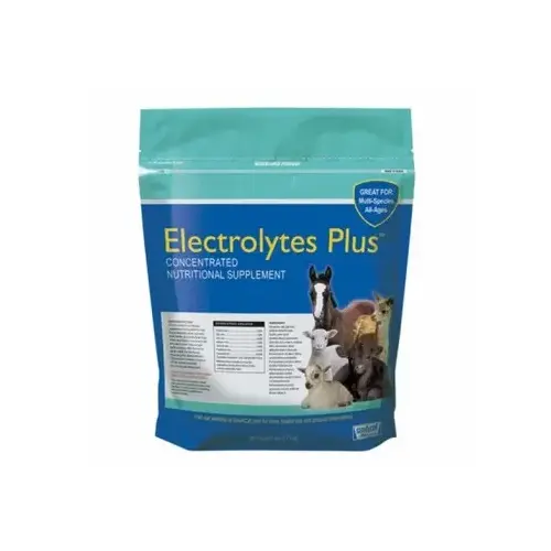 Sav-A-Caf Electrolytes Plus Supplement 6-LB Bag
