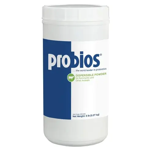 Probios Dispersable Powder - 5LB