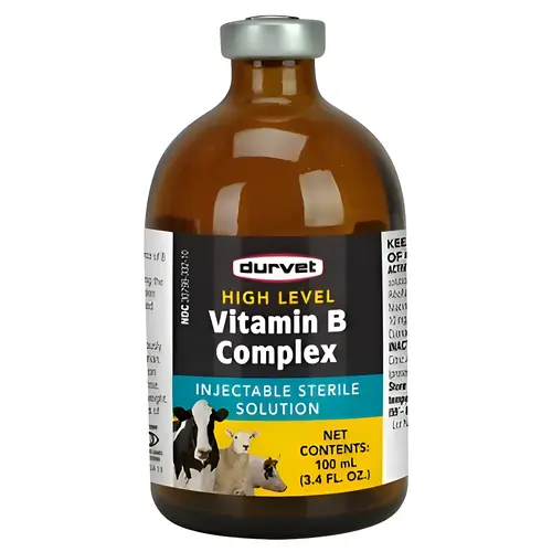 HIGH LEVEL VITAMIN B COMPLEX - 100 ML