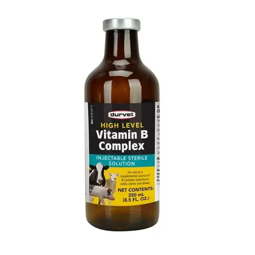 HIGH LEVEL VITAMIN B COMPLEX - 250 ML HIGH LEVEL VITAMIN B COMPLEX - 250 ML