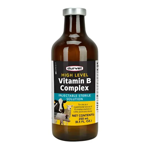 Vitamin B Complex Solution, 250 mL