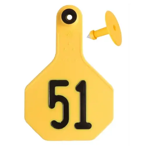 YELLOW ALL AMERICAN 3 * COMBO NUMBERED 51-75