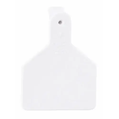 Z Tags 100 Count 1-Piece Blank Tags for Calves, White