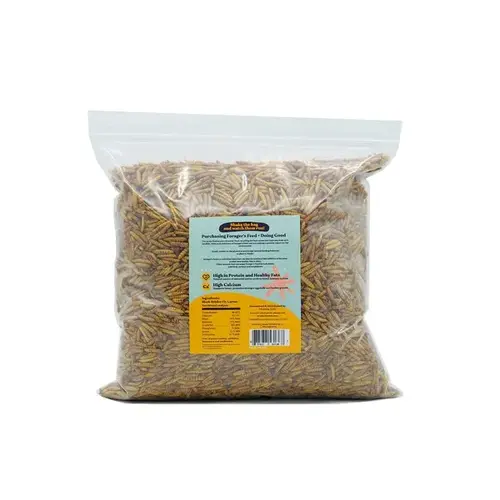 BLACK SOLDIER FLY LARVAE DRY 1LB - FORAGES FEED BLACK SOLDIER FLY LARVAE DRY 1LB - FORAGES FEED