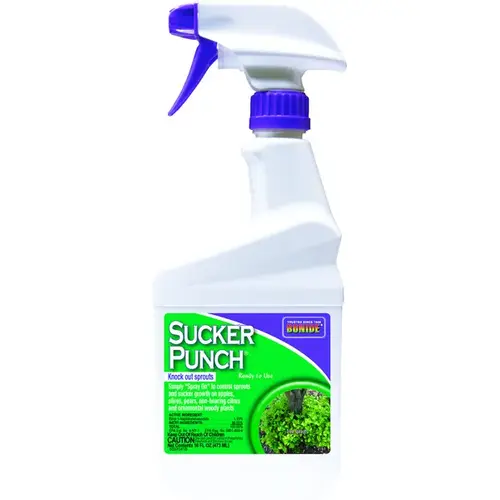 Sucker Punch 16 Oz. Ready-To-Use Sprout Control Vegetation Killer White Sucker Punch 16 Oz. Ready-To-Use Sprout Control Vegetation Killer White
