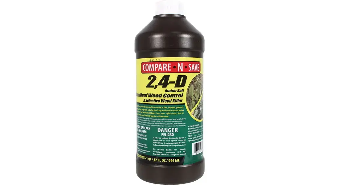 marginata dracaena Dracaena Marginata Tricolor | Care Guide and Pro Tips - Delivery from  Toronto across Canada