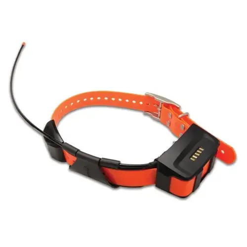 TB 10 Dog Training Collar