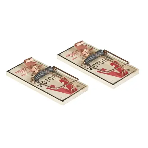 Mouse Trap, 3.7 in L, 1.7 in W, 0.6 in H - 2 per pack x36 packs Mouse Trap, 3.7 in L, 1.7 in W, 0.6 in H - 2 per pack x36 packs