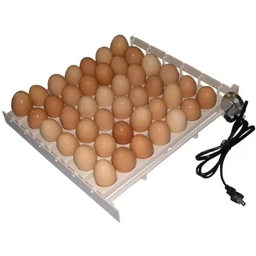 41-Egg Capacity 120V Automatic Egg Turner White