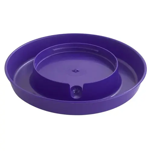 Screw on Poultry Base - Purple Screw on Poultry Base - Purple