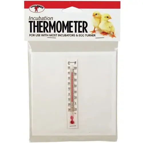 Incubator Thermometer Kit