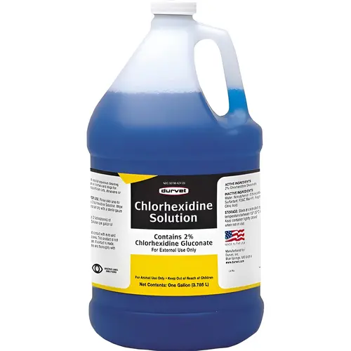 Chlorhexidine Solution 2% 1-Gallon