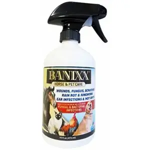 Sherborne-Banixx Horse & Pet Care 08645638 Wound & Hoof Care Spray for Horses 16-oz