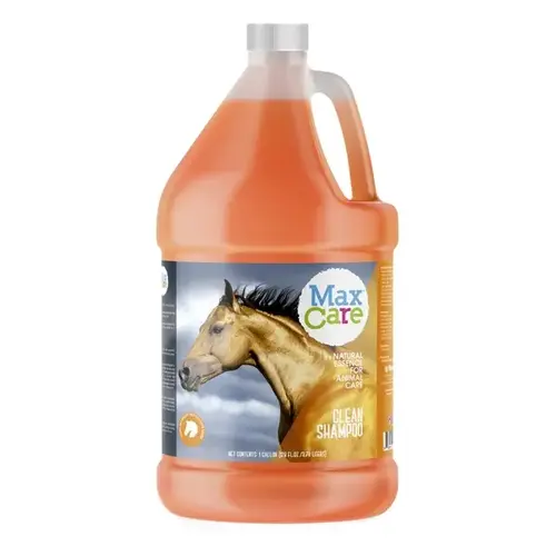 CLEAN SHAMPOO - GALLON CLEAN SHAMPOO - GALLON