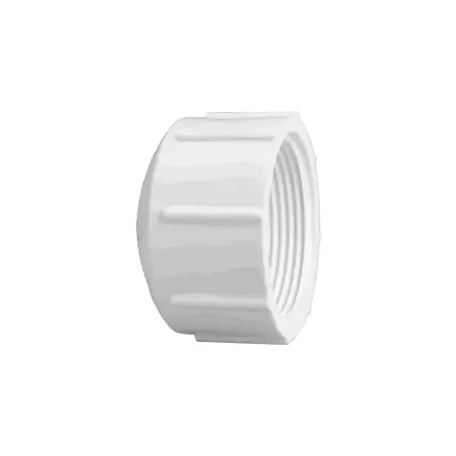 Pipe Cap, 2 in, FPT, PVC, White, SCH 40 Schedule Pipe Cap, 2 in, FPT, PVC, White, SCH 40 Schedule