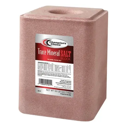 Champions Choice Trace Mineral Salt Block - 50 lbs Greenish Brown