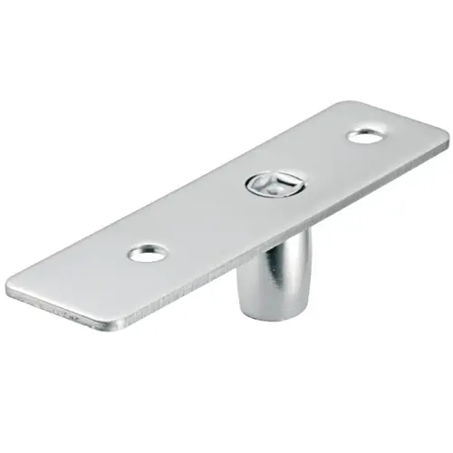 Pivot bearing,   For tempered glass doors, Matt Matte