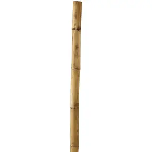 NK LAWN & GARDEN BP6-SP Bamboo Super Pole 6ft x 1"