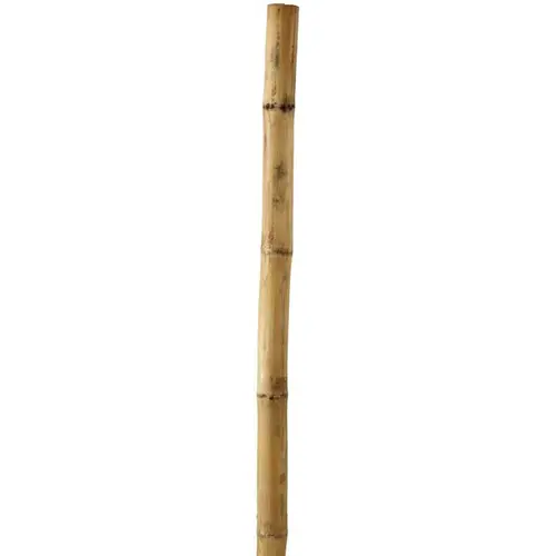 Bamboo Super Pole 6ft x 1"