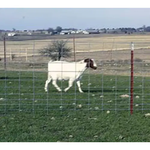 Fence Premium Sheep & Goat 12.5-Gauge 13-Wire 48" x 330ft Zinc-Coating