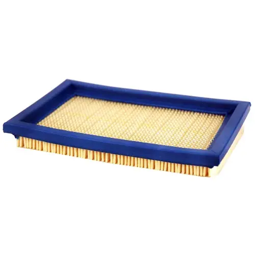Maxpower Precision Parts 334322 Briggs & Stratton 397795 Air Filter