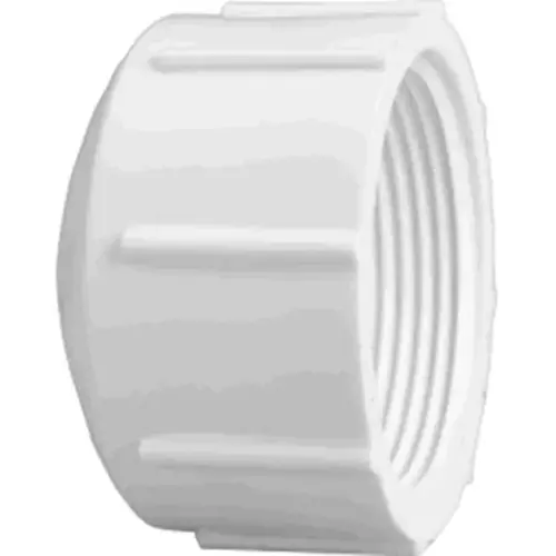 Pipe Cap, 1/2 in, FPT, PVC, White, SCH 40 Schedule