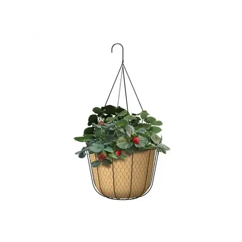 Panacea 12" Rustic Farmhouse Collection Hanging Basket