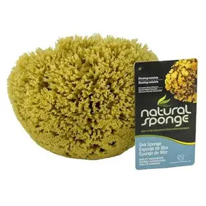 Armaly 08060 SPONGE-NAT GRASS PAINTNG